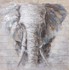 Wandbild Elefant auf Holz